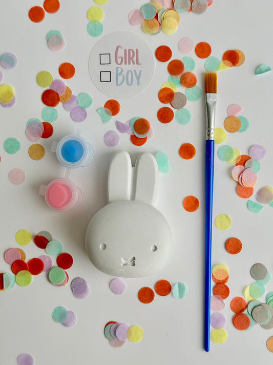 Nijntje gender reveal