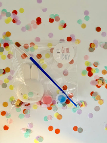 Nijntje gender reveal